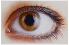eyes1_